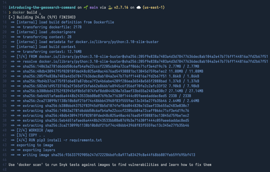 docker build output