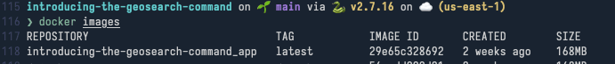 docker images list output
