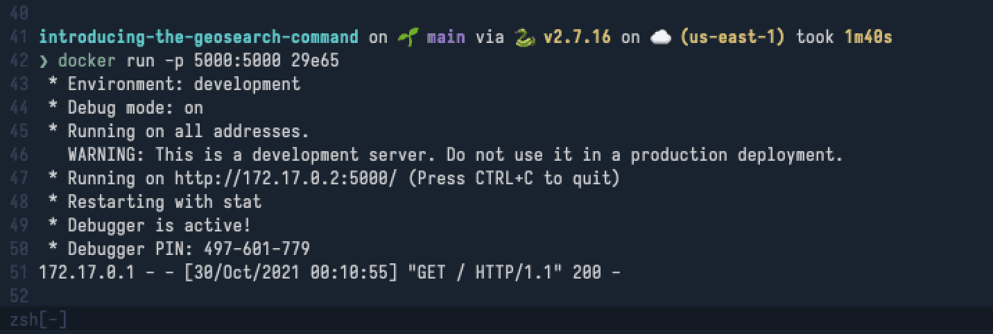 docker run output